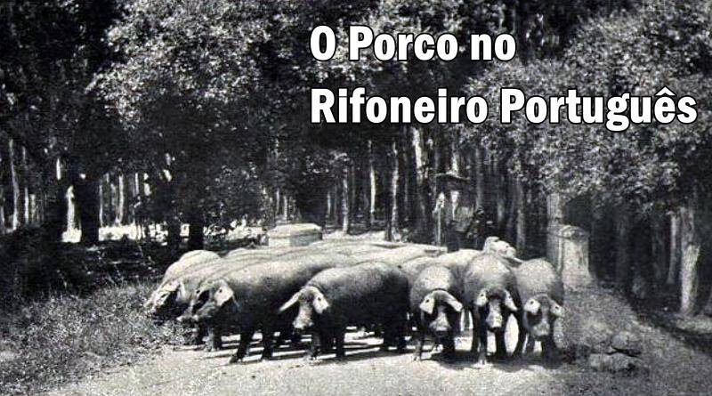 O porco no rifoneiro português | Provérbios
