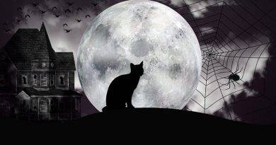 Crenças Sobrenaturais Saloias | Superstições e Crendices | Gato preto e Lua Cheia