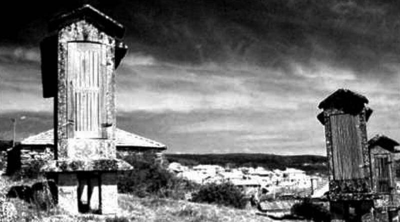 Menino Ó | Cancioneiro Popular de Trás-os-Montes