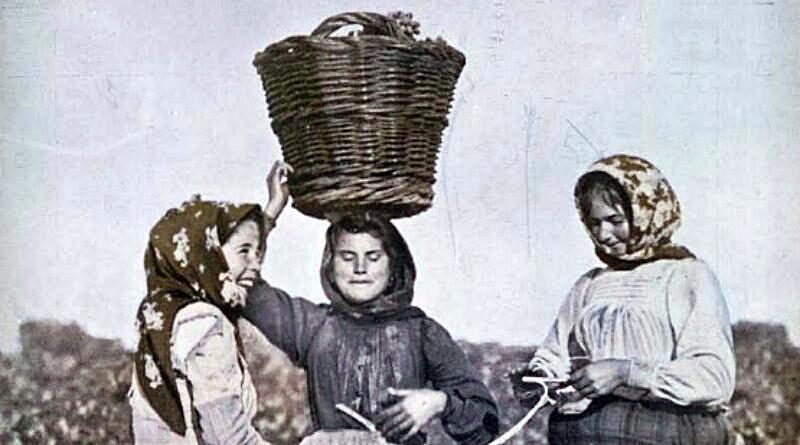 Vindimadoras - É hora da vindima em terras ribatejanas (1911)