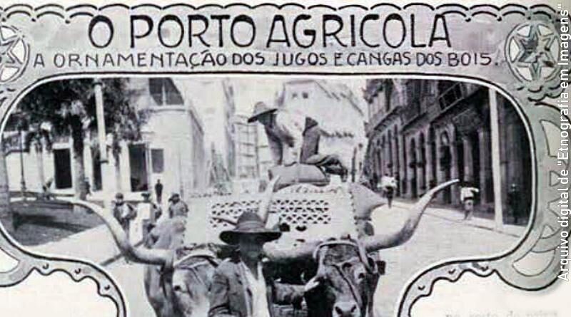 A ornamentação dos jugos e cangas dos bois