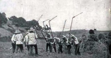 Uma malhada em Vinhais, em 1922
