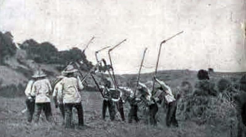 Uma malhada em Vinhais, em 1922