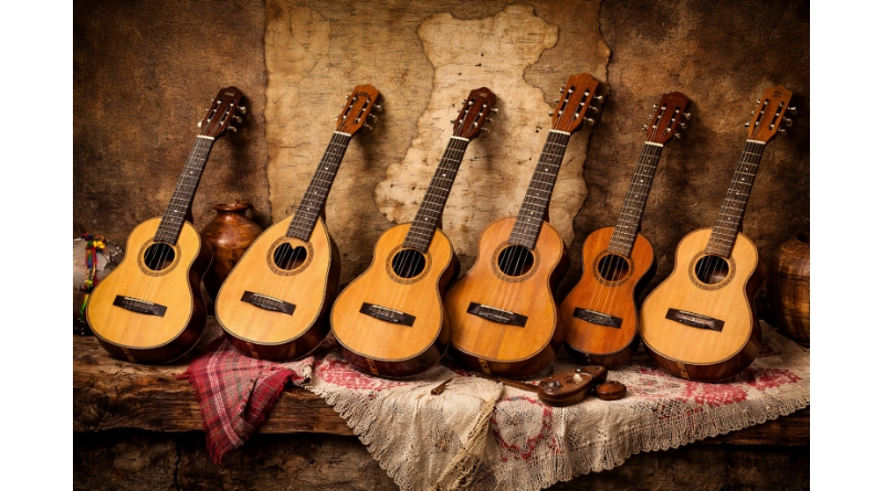 Viola Tradicionais Portuguesas - uma síntese