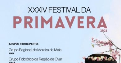 XXXIV Festival da Primavera - Moreira da Maia